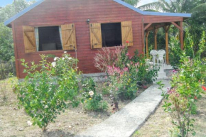 Maison charmante à Sainte-Anne avec jardin.